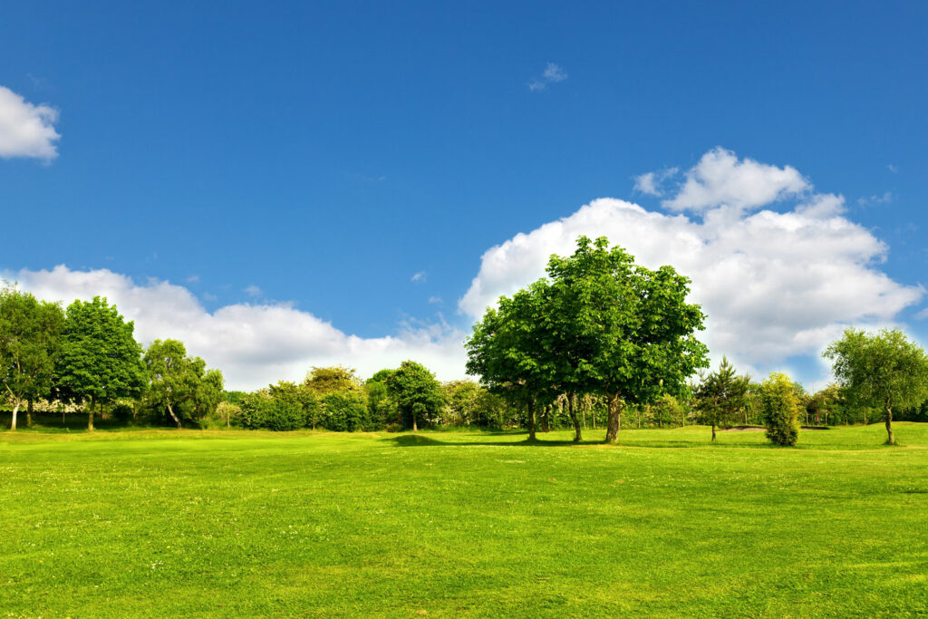 notasix-notaires-a-six-fours-environnement