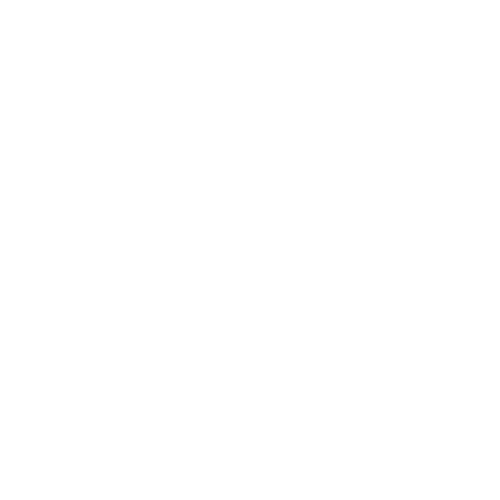 logo notasix blanc
